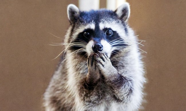 ���������� ���������� ��� ������������ � �� ���� �� �������