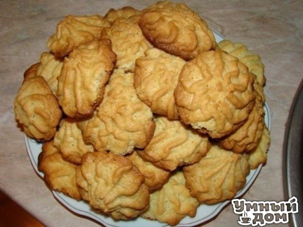 ������� ����������� (����������