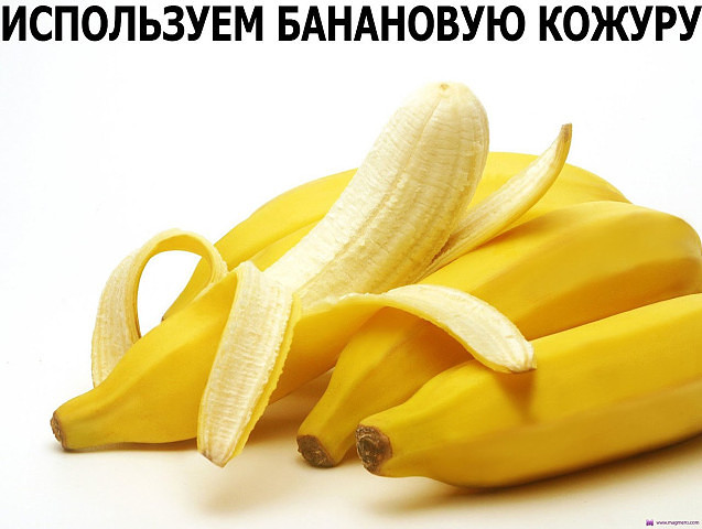 ������������� ��������� ������