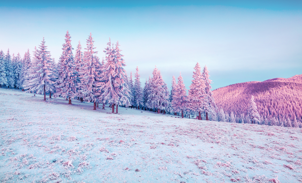 ���� �� ����: C����� ����������� �� ��������� ��������