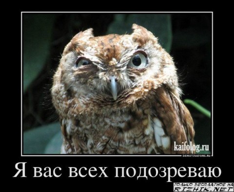 ����������� ����, ��� �����.