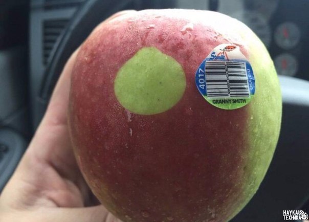 � ��� ��� ����� ���������?