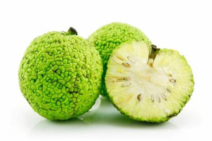 ������������ ������...