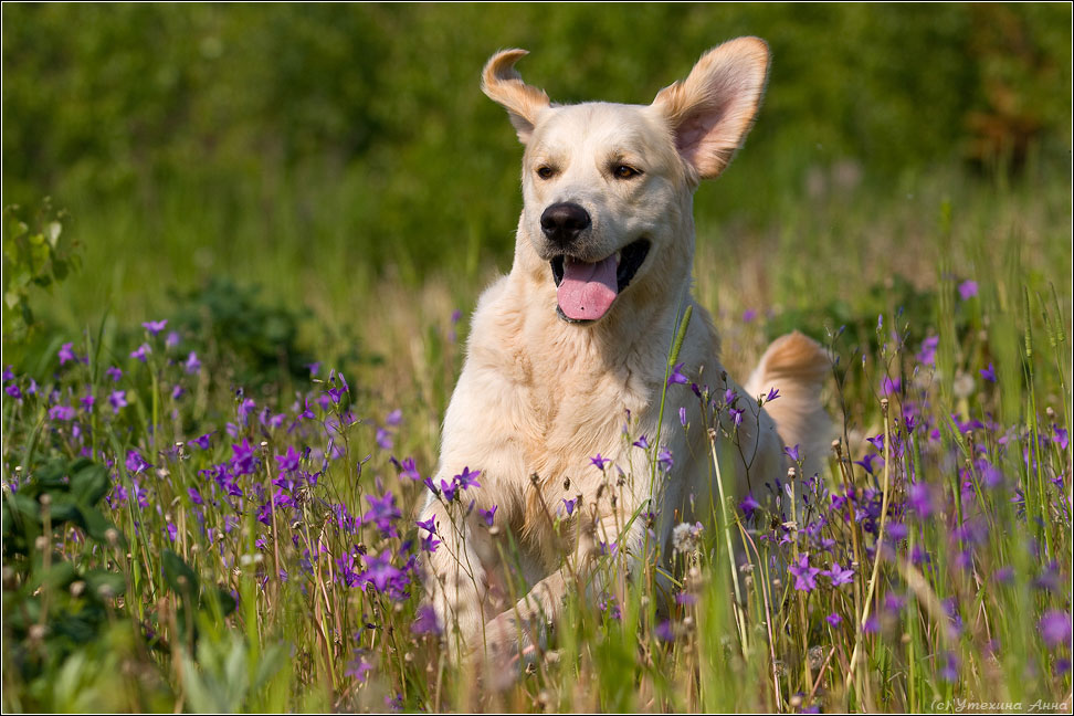 �������� ��� ����� �� ����������� ���� (��������, ����������, �������, ������ � �.�.), ����������� �������, ������� � ������� �� �������, ���������� �� ������� � ��������, ����� �� ��������, � ����� �������-������ �������! �����-2