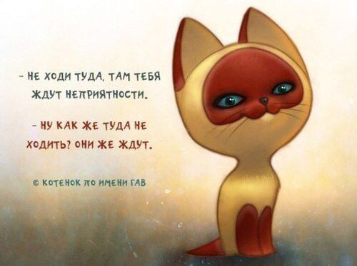 20 ����� ������ ������ �� ����������