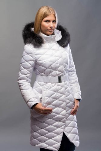 ���� �������. ���������, ������, ������ �������