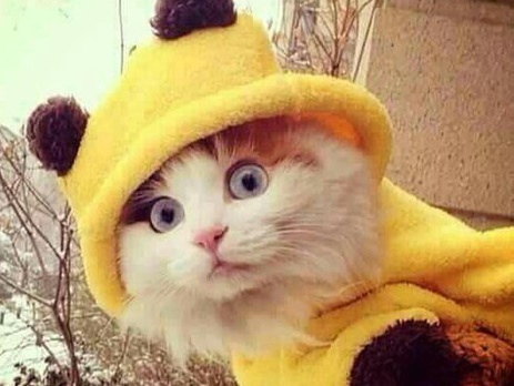 ������ ������ �������...(#BrusselsLockdown: ������ ������� ������� � Twitter �������, ����� �������� �����������)