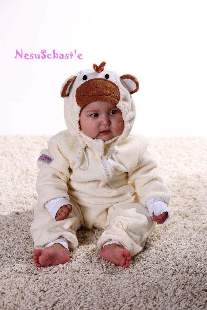 ���� �������. ���� �������. �������� ��������������-���������, ������, �����, �����, �������- �������, ��������, �����.