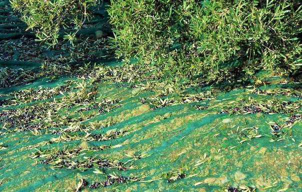 ��� � ������� ���� ������ ....... ��� ����� ������ , ����� ����� ����