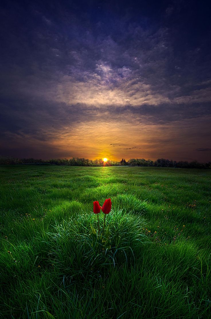 ������ �����...