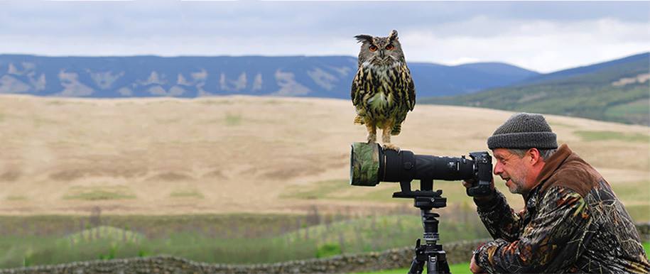 Pictures Showing That Nature Photographers Have The Best Jobs Ever