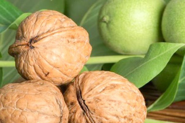 ��� ������� �������� ���