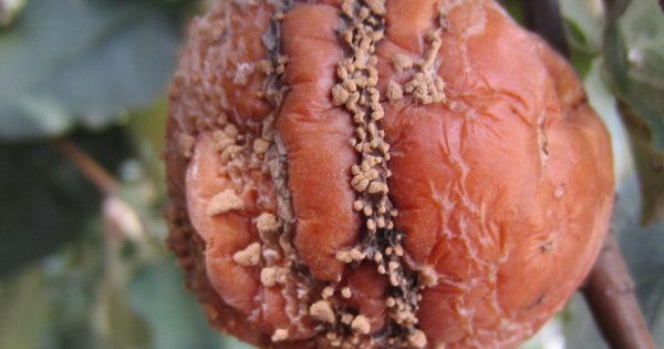 ��� ������ ��� �� �������� �����?