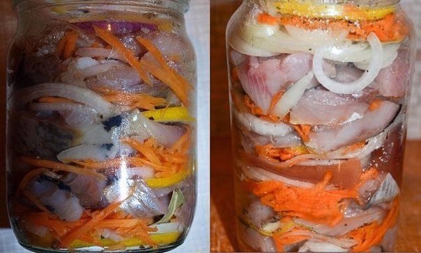 ��̣��� ��-����������