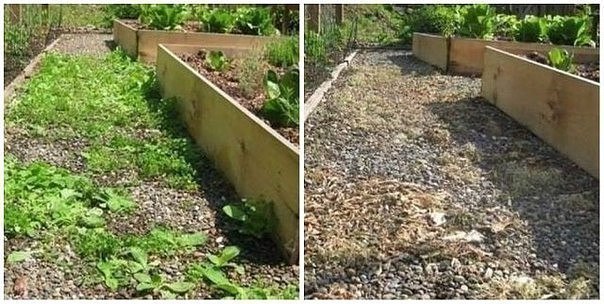 ���������� �������