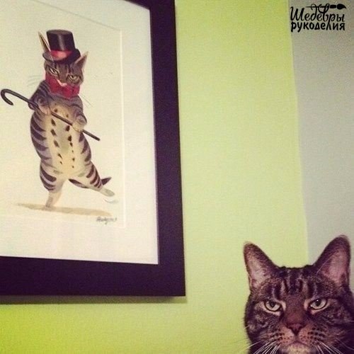 �������� ���������