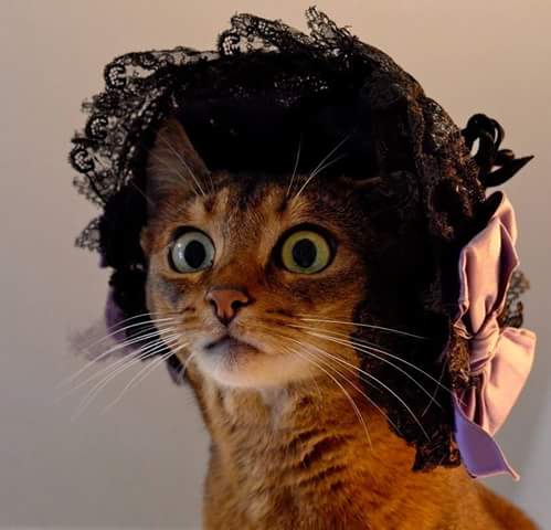 ��� ���� - ��� ����, � � - ������!!!