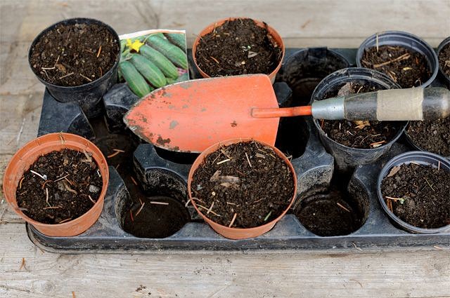 �������� ������