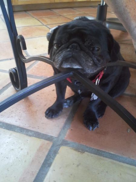 C����, ������� ������ � ����� ����