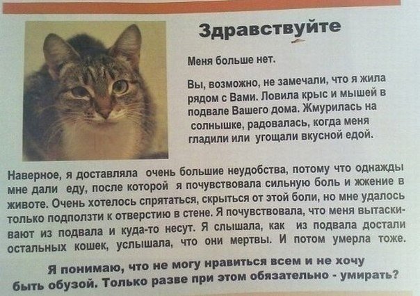 ���� ������ ������