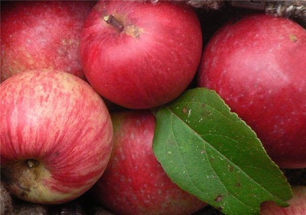 ������� ��� ������ � ���� � ��� �� ����� ����� �����...