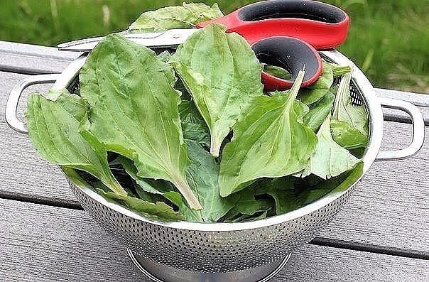 �� ������ �������� ������� ����������