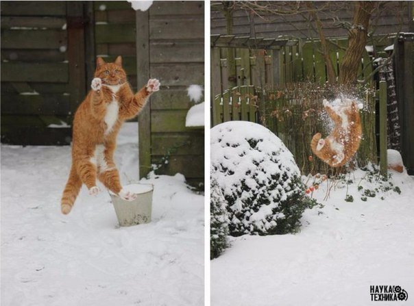 �����! �����! ����