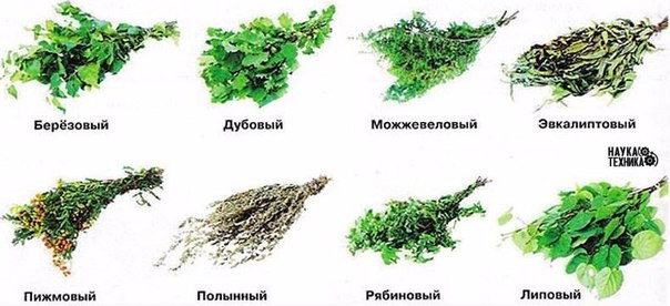 ������ ������ � �� �������� ��������.