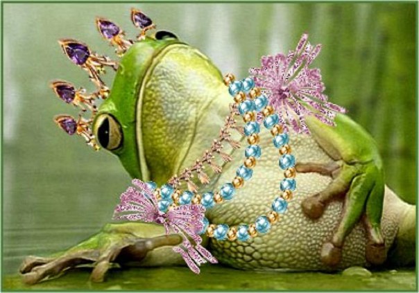 ������ ��������� �������� ������ ������ �����