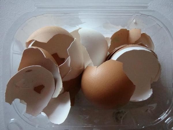 �������� �� �������