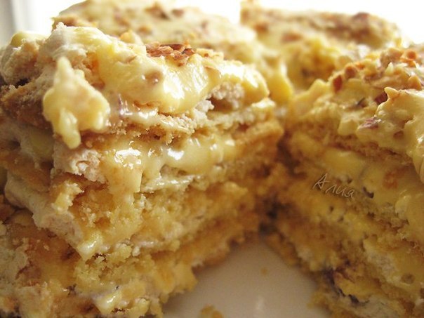 ���� �����������