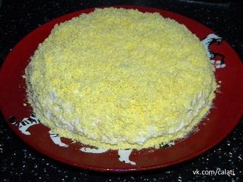 ����� ������ �������