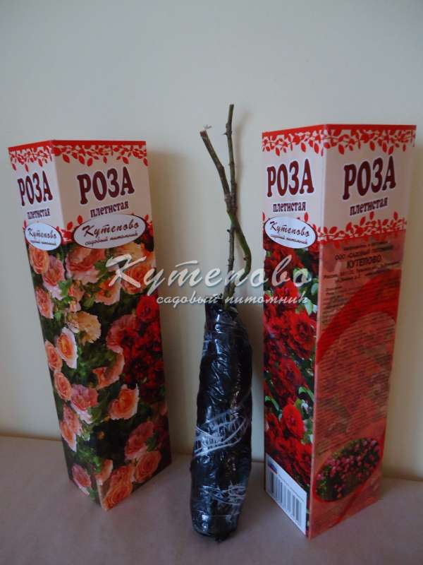 ���� �������. ��������� �� ����� 2016. ������� �������!!!! ������� �������� ��������. �������� ��������. ������������ �