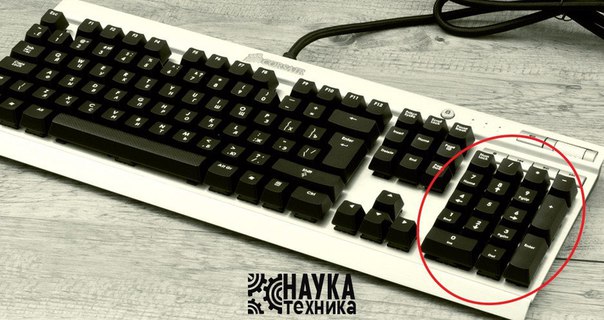 ������� NumLock ����������. ������� ���� �� �����, ����� �� ��������!