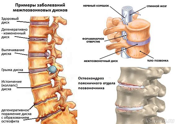 ��������� ������������ !