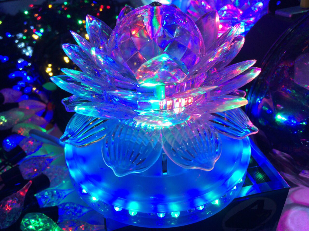 ���� �������. ���������� �������������, ��������, ���������� �������, �������, ����� � �� ������. �������� ���, ���������, �����-����������, �������� ����� � ������ ������ �� ����� ������ �����. ����� ���������� �������.