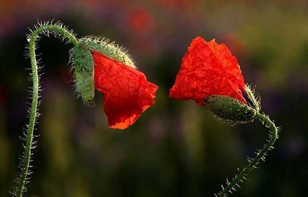 ���� ������ ������ ������ ���:......