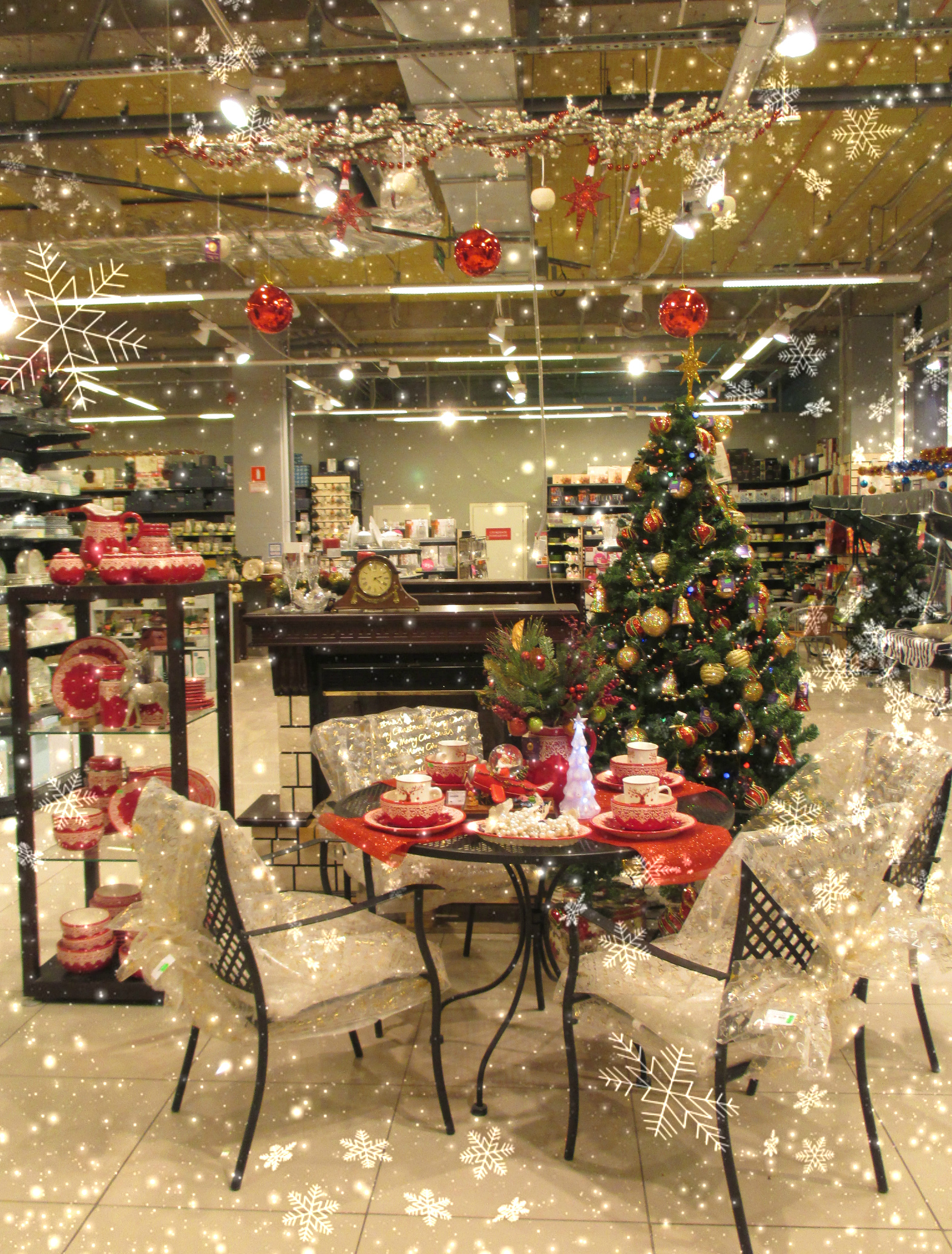 ���� �������� ��������� ����������� ����������...