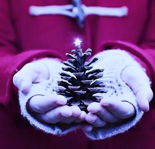 33 ������� �������� ����, ��� 5 �������� ������� �������