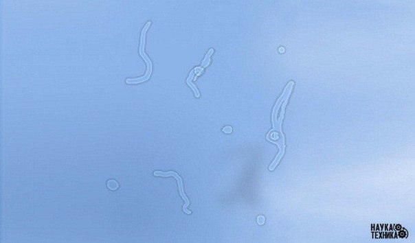 ������ �� ������ ����� �������� � ������� ���������� �����?