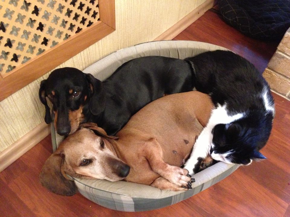 ���������� ������� ��� ����� ���...