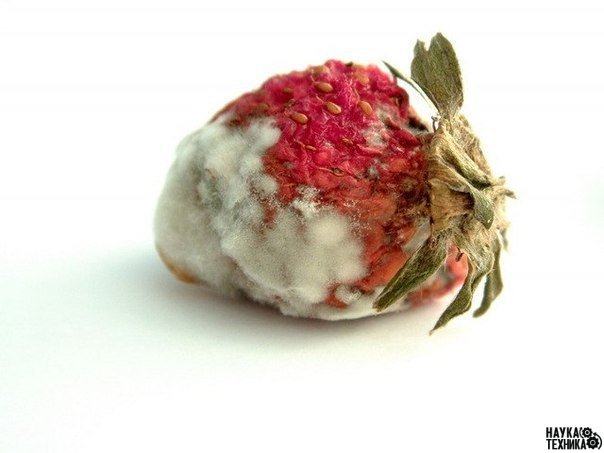 6 ������ � �������