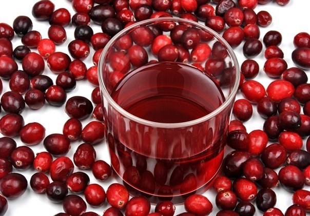 ������� ������ ��������� ������������