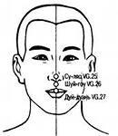 �������� ������������ �������� �����. ������ ����� ����� �� ���� ���.