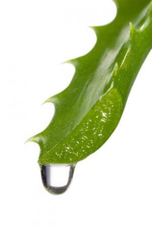 ������ ������ ��������� ��������.