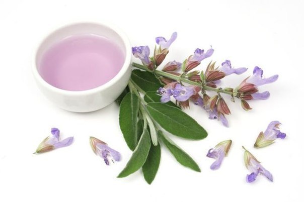 ������������� ����� ��� ���� � �������