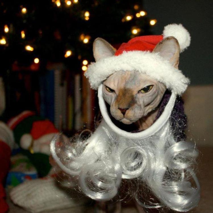 � ��������� ���� � ���� ������ ��������, � ��� �������� ���� ��������...