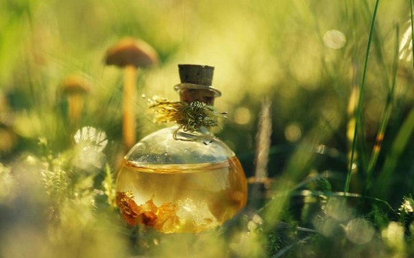 ������ �������� ��������� ������� ��������