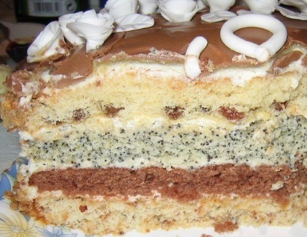 ���� ����� ��������