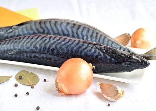 �������� ������������.